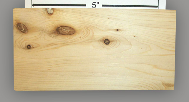 Cedar