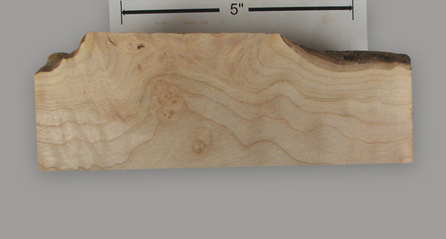Soft-Maple-Wood_14 Maple
