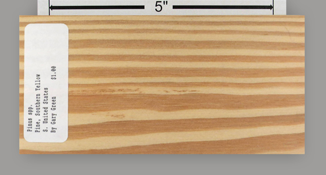 Pine