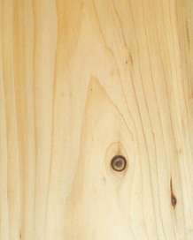 Cedar