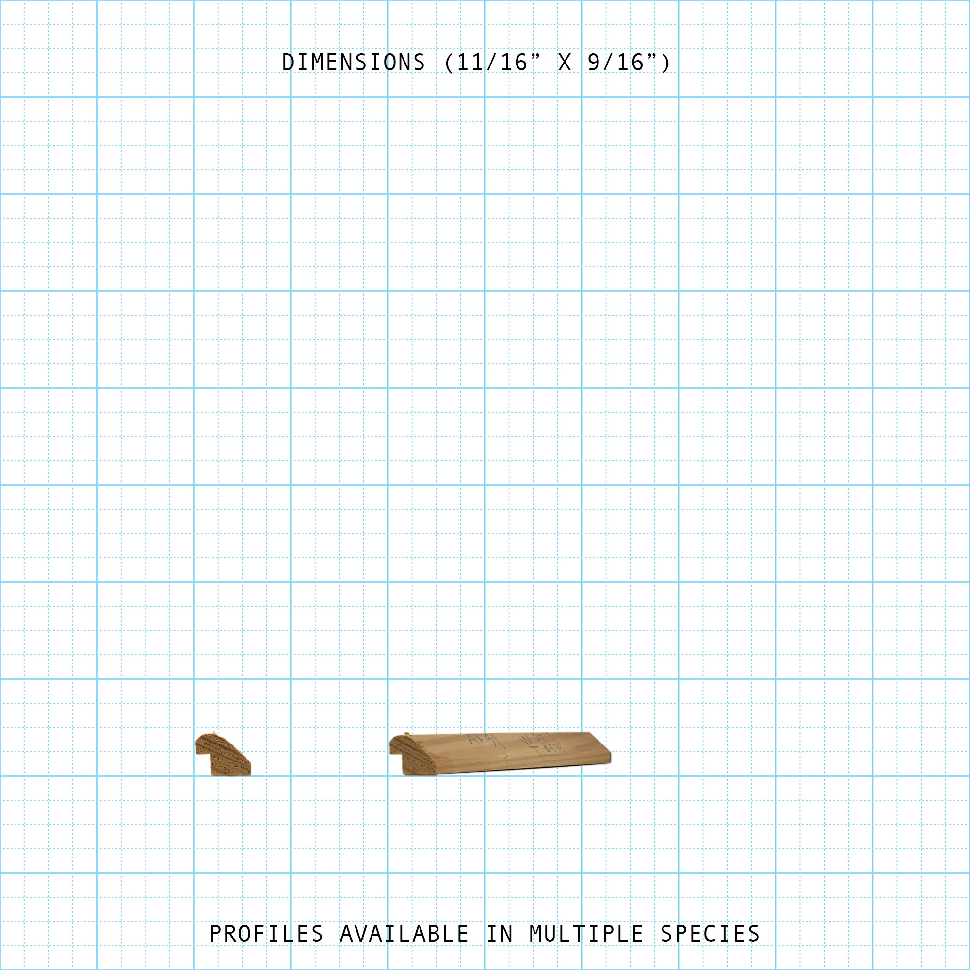 Wood Back Band molding profile & full length view, 11/16" x 9/16" dimensions. Available in multiple species.