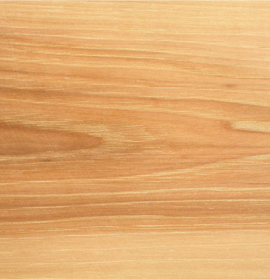 Hardwood grain swatch sample of Hickory showing warm honey-tan texture.