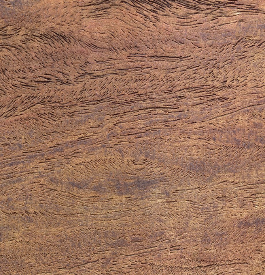 Wood grain swatch sample of Padauk wood with reddish-brown texture.