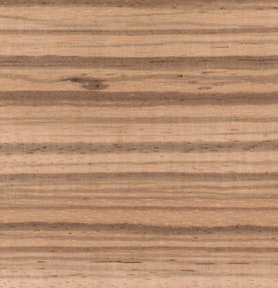 Wood grain swatch sample of Zebrawood showing dark parallel stripes.