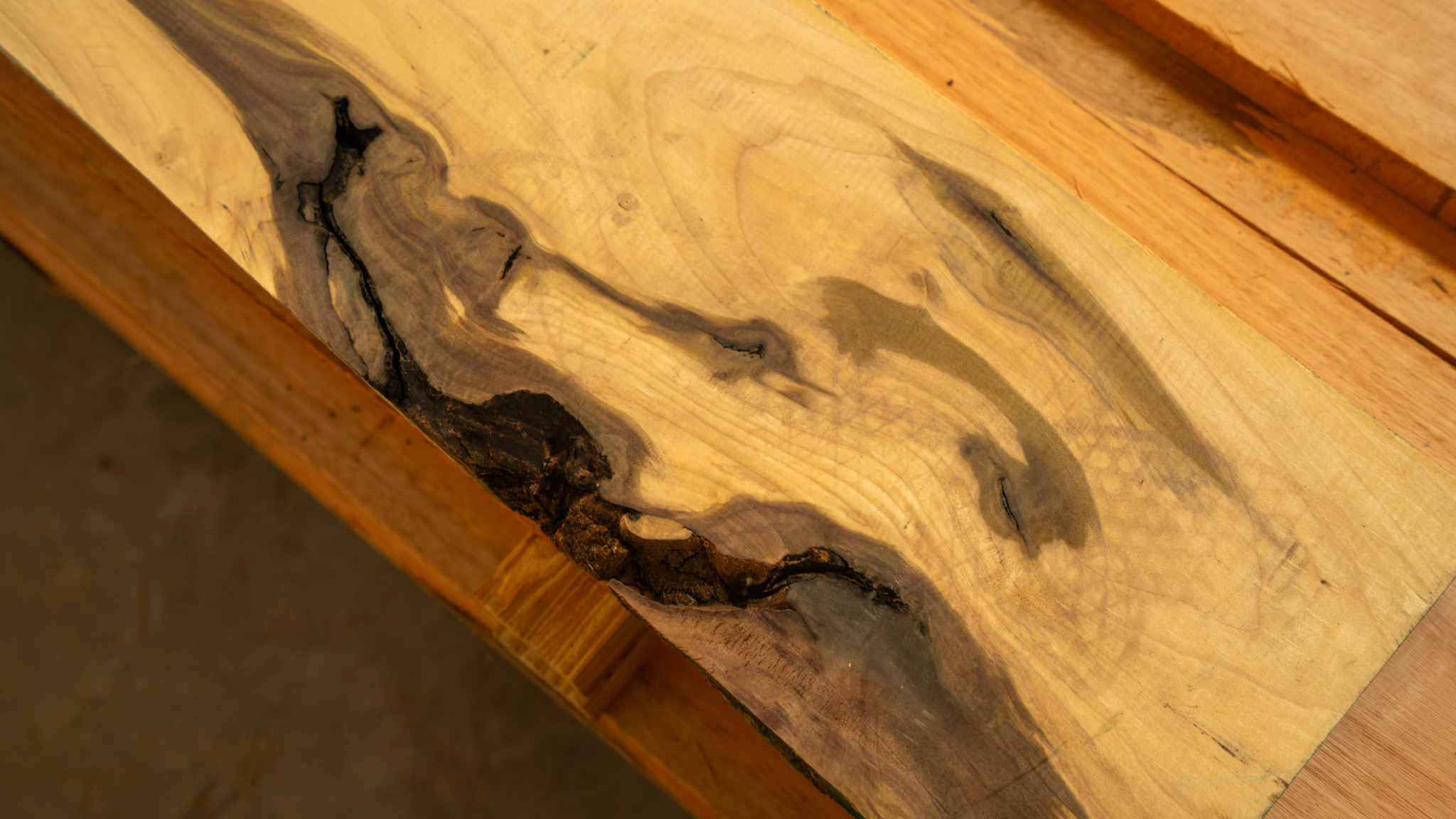 Close-up of a raw wood board showing natural dark figure and grain knots.
